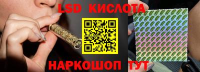 spice Донецк