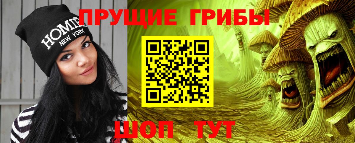 Галлюциногенные грибы Cubensis Москва